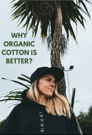 Why Organic Cotton is Better?